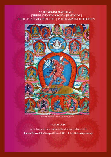 Book Cover Variant Thumbnail